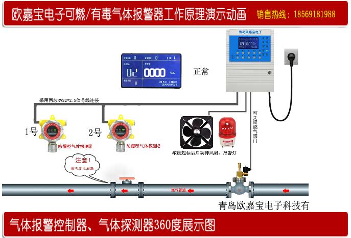 9494香港马资料